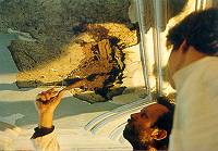 Maaseik. Fixation du stuc sur plafond dans maison bourgeoise du XVIIIe 
s.Restauration en 1995
